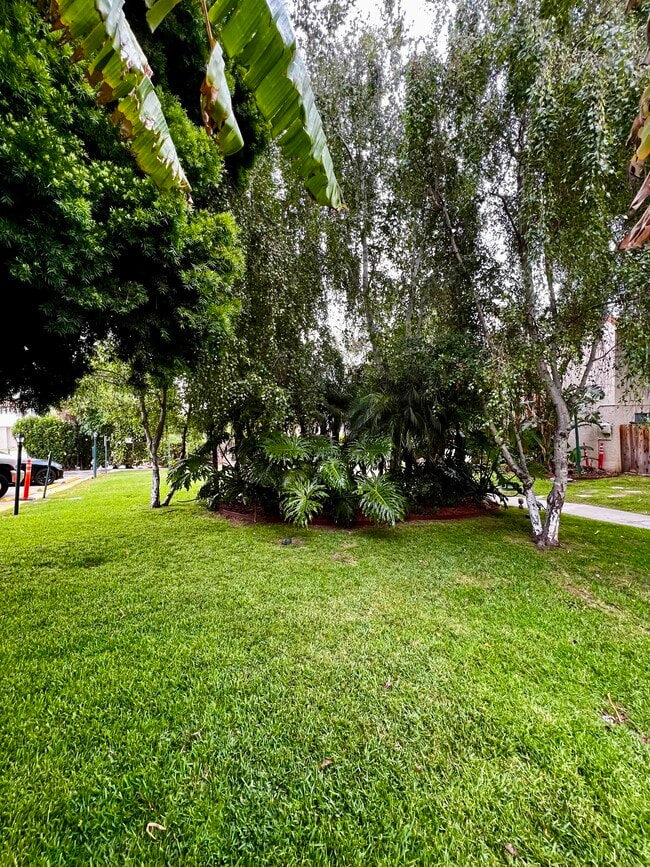 Beautiful Gardens around property - 6467 Kanan Dume Rd Unit 6467 Cavalleri Road