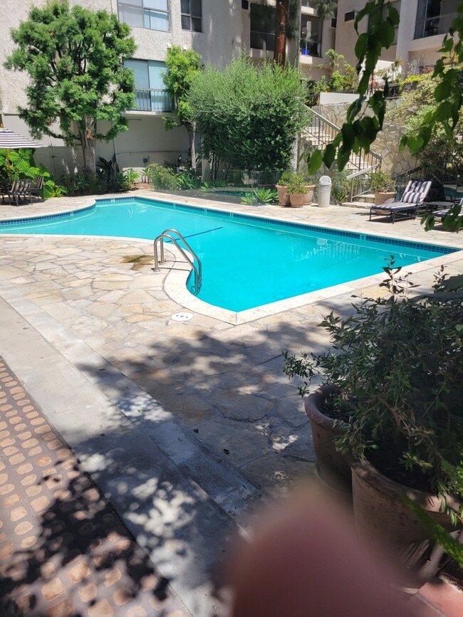 Photo - 1440 Veteran Ave Condo Unit 1440 Veteran 237