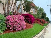 Photo - Carlton Ridge *1st Month Free OAC*