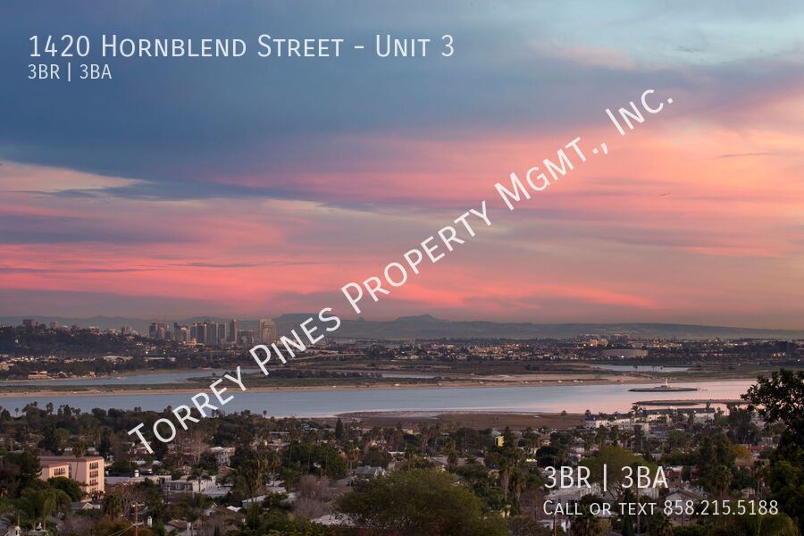 Photo - 1420 Hornblend St Unit 3