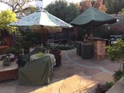 Beautiful back yard with lots of plants - 1136 8th St House