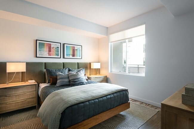 Photo - Belle on Bev