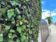 Photo - 1905 Elanita Dr