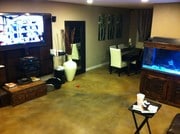 Living Room - 333 Newport Ave Unit 102