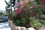 Photo - Charming Studio located minutes from DTLA,... Apartment Unit 5