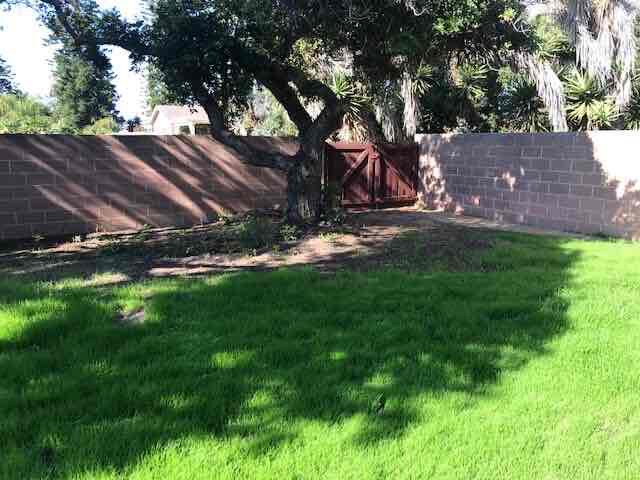 Photo - 3814 Palo Dr