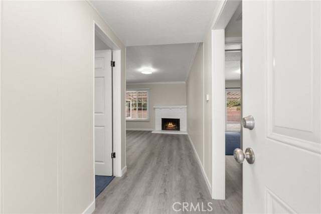 Photo - 11518 Toerge Dr