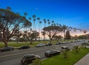 Beautiful Palisades Park in front of the Building - 515 Ocean Ave Unit 706N