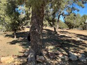 Photo - 1960 Baldwin Lake Rd