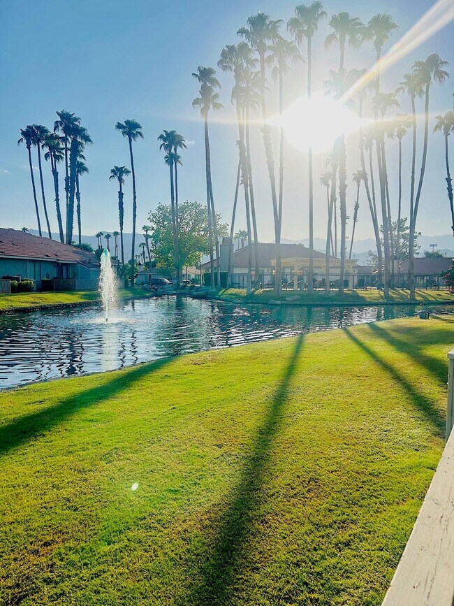 Photo - 43376 Cook St Unit 87