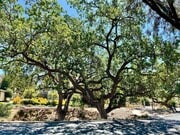 Photo - 460 Arbor Ln Ct