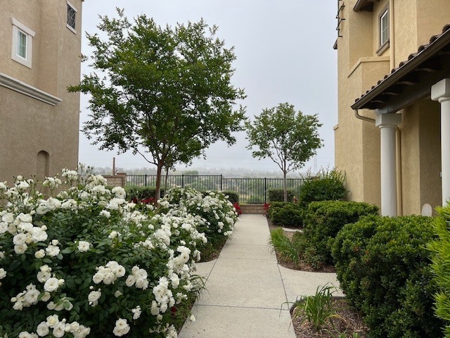 Photo - 23900 Brescia Dr