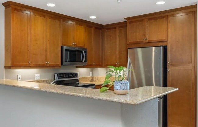 Photo - 1019 Costa Pacifica Way