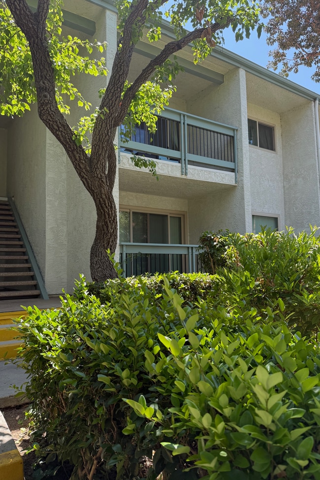 Photo - 23671 Park Capri Condo Unit 46