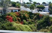 Photo - 259 Avenida Madrid Townhome