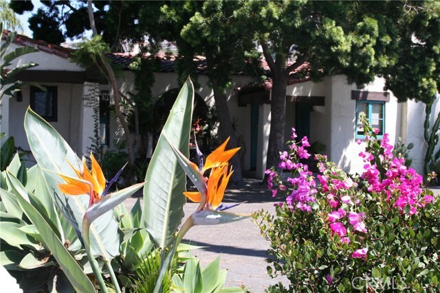 Photo - 243 Avenida Madrid