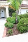 Photo - 26002 Dundee Dr House