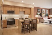 Modern Kitchen and Living Area - Montessa Heights
