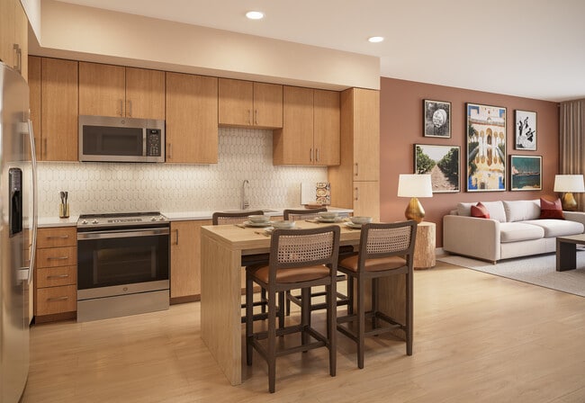 Modern Kitchen and Living Area - Montessa Heights