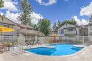 Photo - Park City Apartment Homes