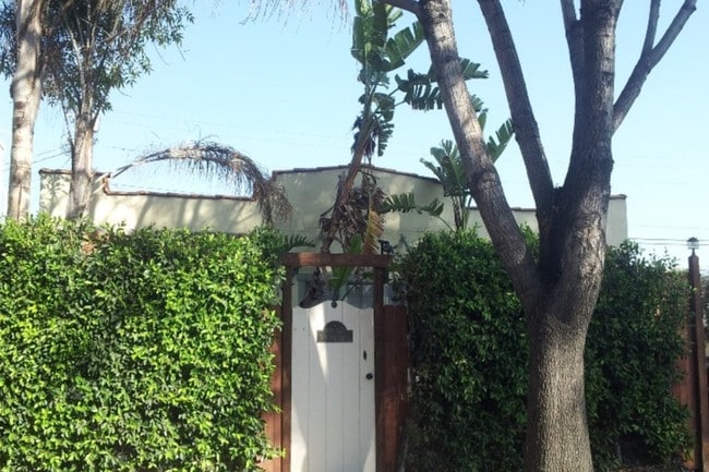 Home Sweet Home duplex w/private large backyard - 1248 N Citrus Ave Unit citruscasita
