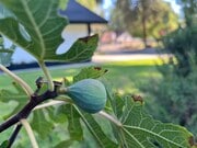 Photo - 8383 Sale Ave