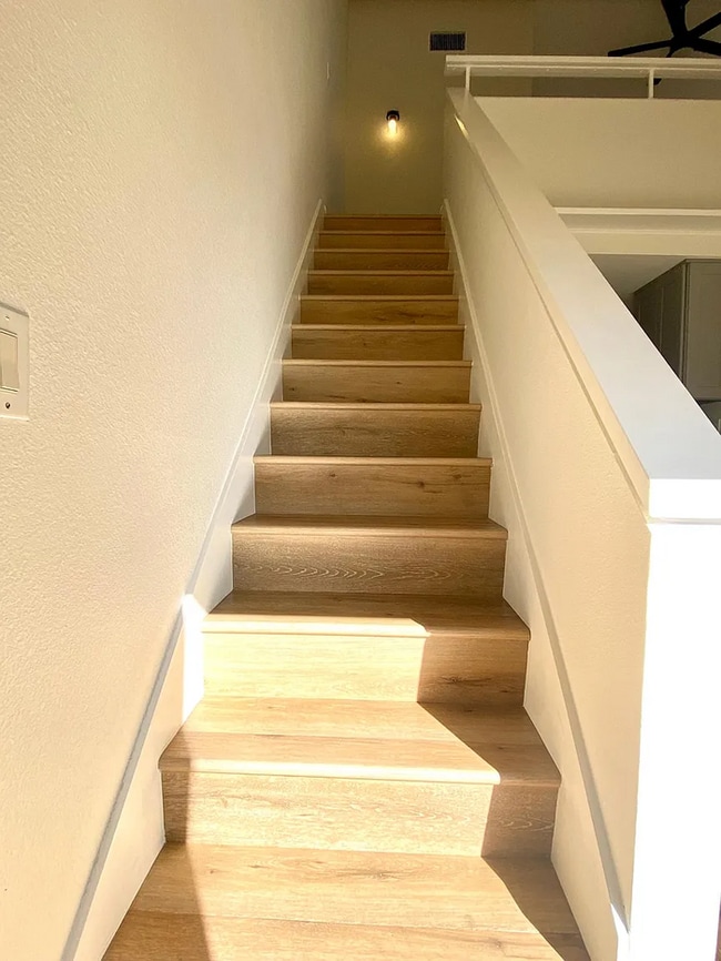 Photo - 501 Orange Blossom