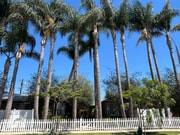 Photo - 2226 S Carmelina Ave Unit 2226