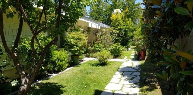 Photo - 91 Nighthawk