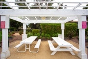 Courtyard - Citywalk Apartments