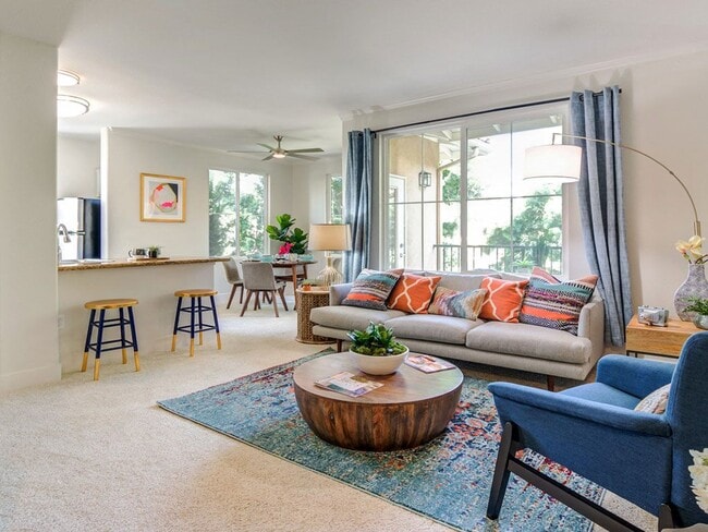 Photo - Sofi Shadowridge