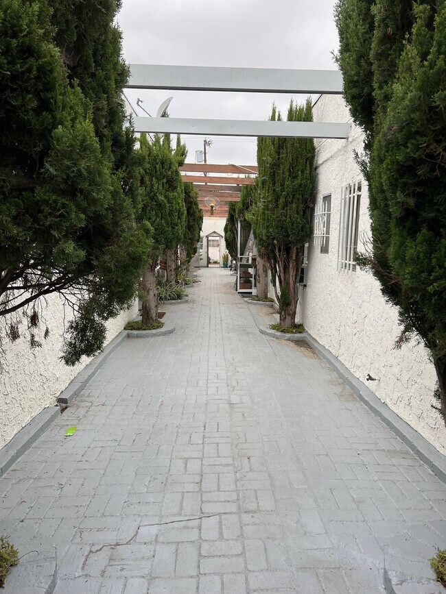 Photo - 819 Alta Vista N Blvd Unit 2