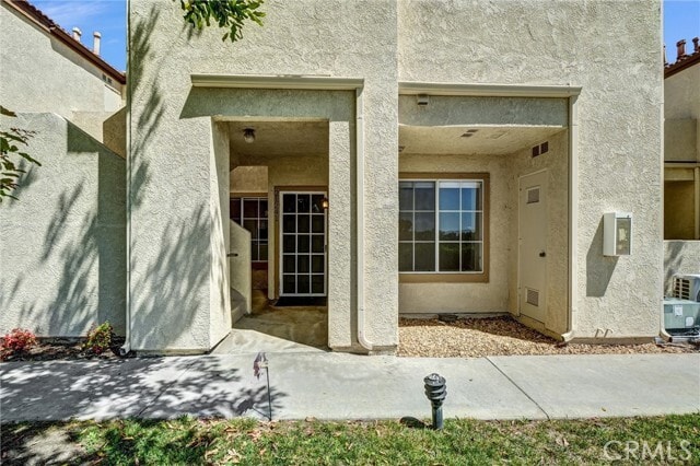 Photo - 21241 Camelia