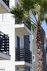 Photo - 2725 S La Brea Ave Apartment