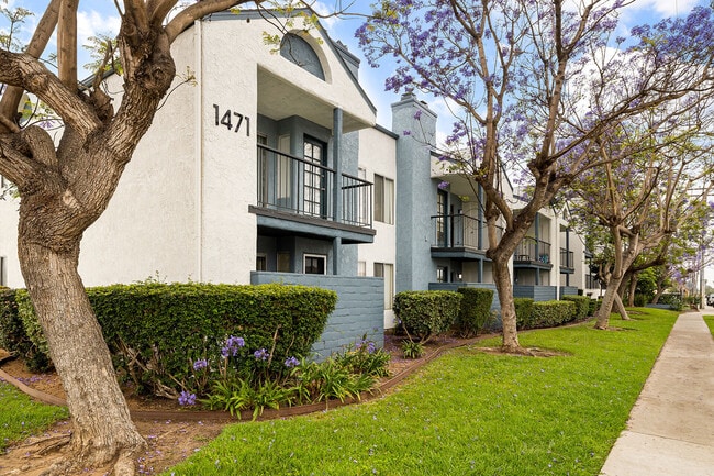 Photo - Mar at Grove Apartments
