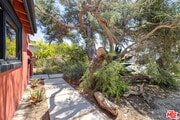 Photo - 11819 Juniette St House