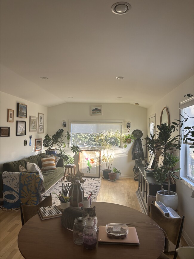 Photo - 333 N Occidental Blvd