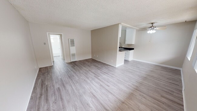 Photo - Venice Capri