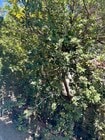 Photo - 20829 Marshall Way
