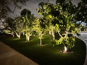 Photo - 7728 Sausalito Ave