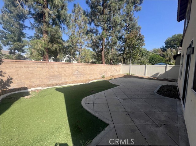 Photo - 43 Straw Flower