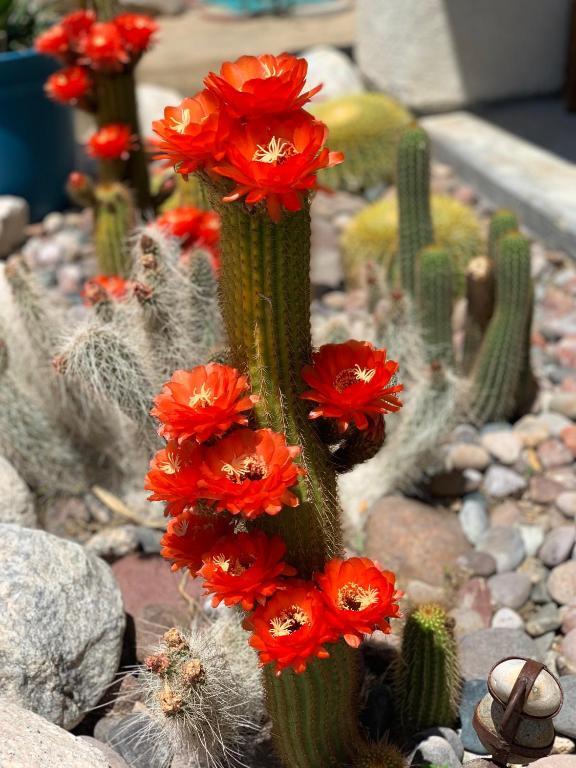 Photo - 6413 Center St