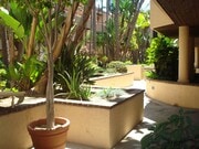 Photo - HARBOR MANOR CONDOS! ACROSS FROM HARBOR UCLA MED CTR IMMACULATE  2 bdrm 2 ba. CONDO FOR LEASE!