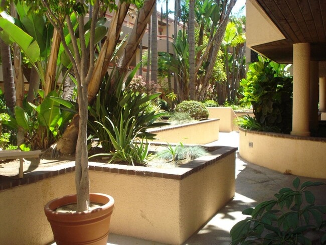Photo - HARBOR MANOR CONDOS! ACROSS FROM HARBOR UCLA MED CTR IMMACULATE 2 bdrm 2 ba. CONDO FOR LEASE!