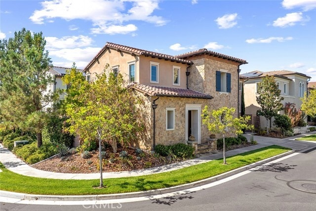 Photo - 77 English Saddle