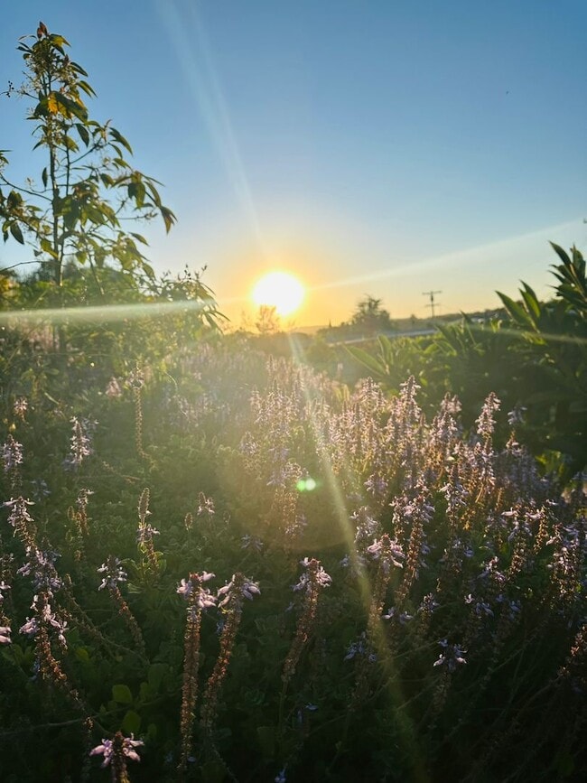 Photo - Beautifully Updated 3 Bed, 2 Bath Home in West Vista