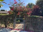 Photo - 548 Herbert St