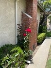 Photo - 2935 Westwood Blvd House