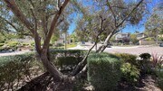 Photo - Luxury 4 Bedroom Home in La Costa Greens