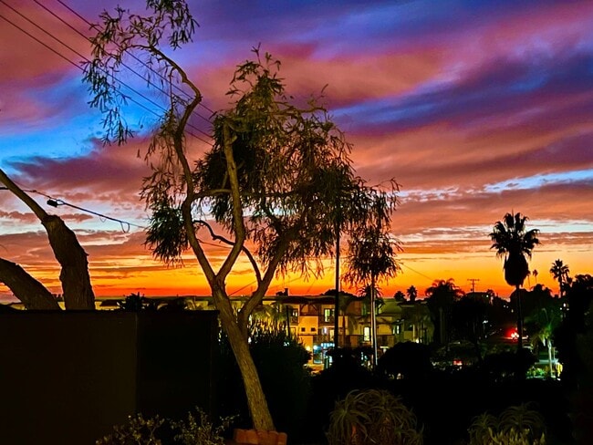 Building Photo - Ocean View Home for Rent in the Heart of Encinitas